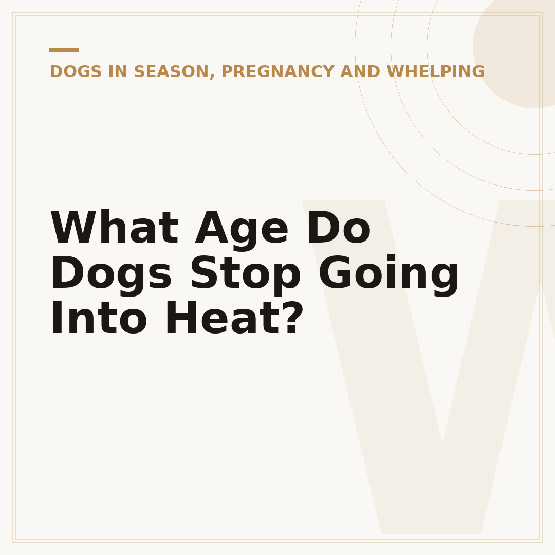 What Age Do Dogs Stop Going Into Heat?