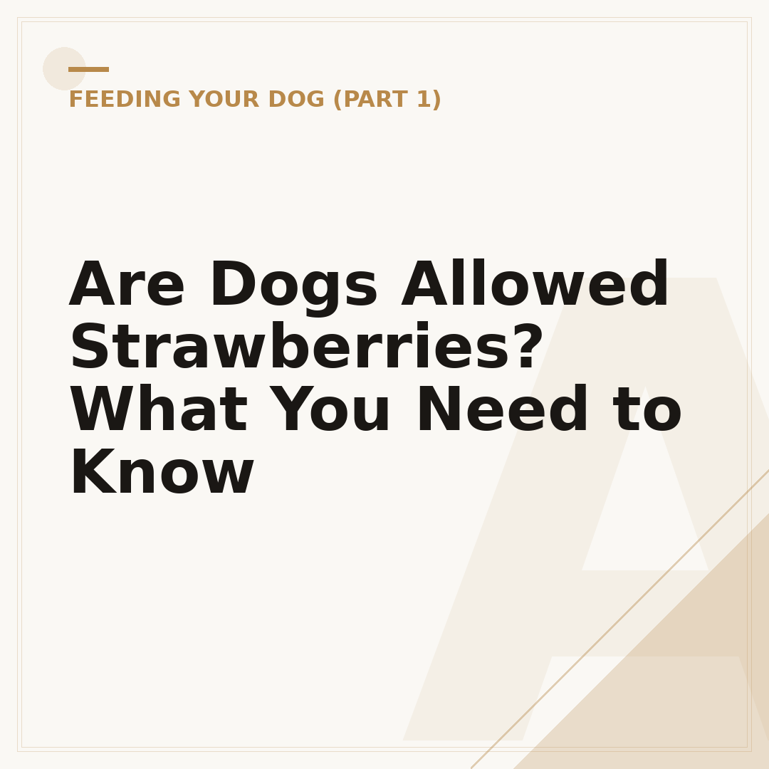 Are Dogs Allowed Strawberries? What You Need to Know