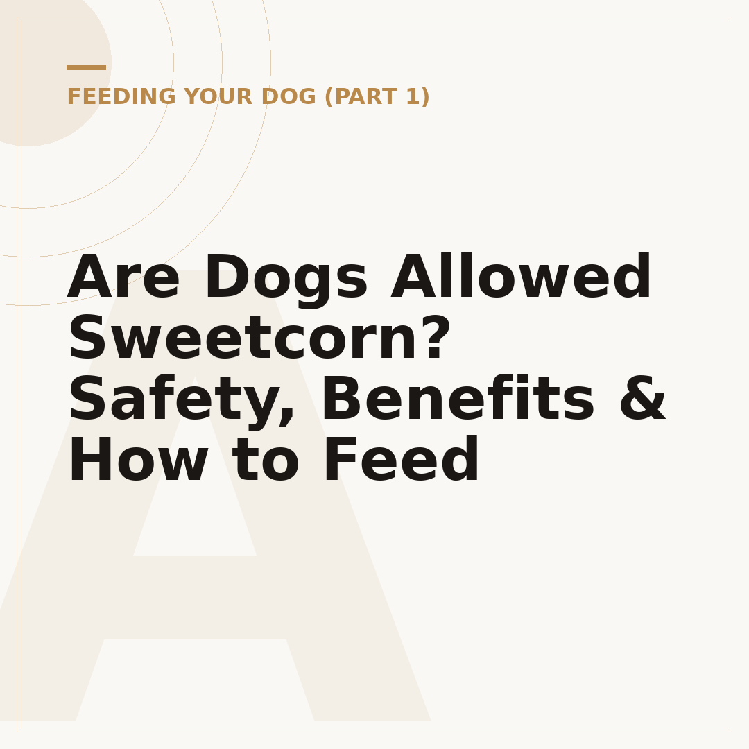 Are Dogs Allowed Sweetcorn? Safety, Benefits & How to Feed