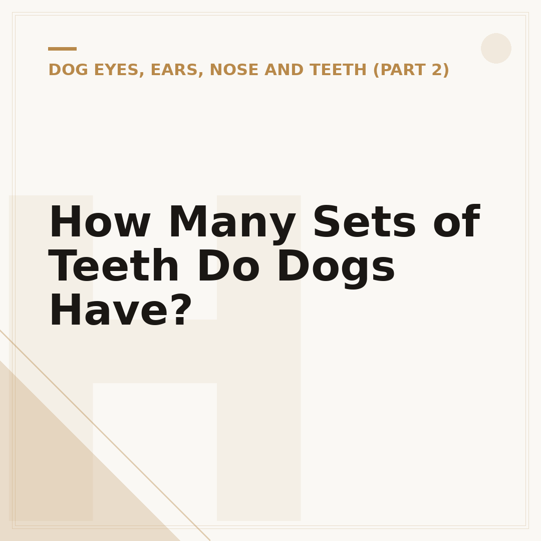How Many Sets of Teeth Do Dogs Have?