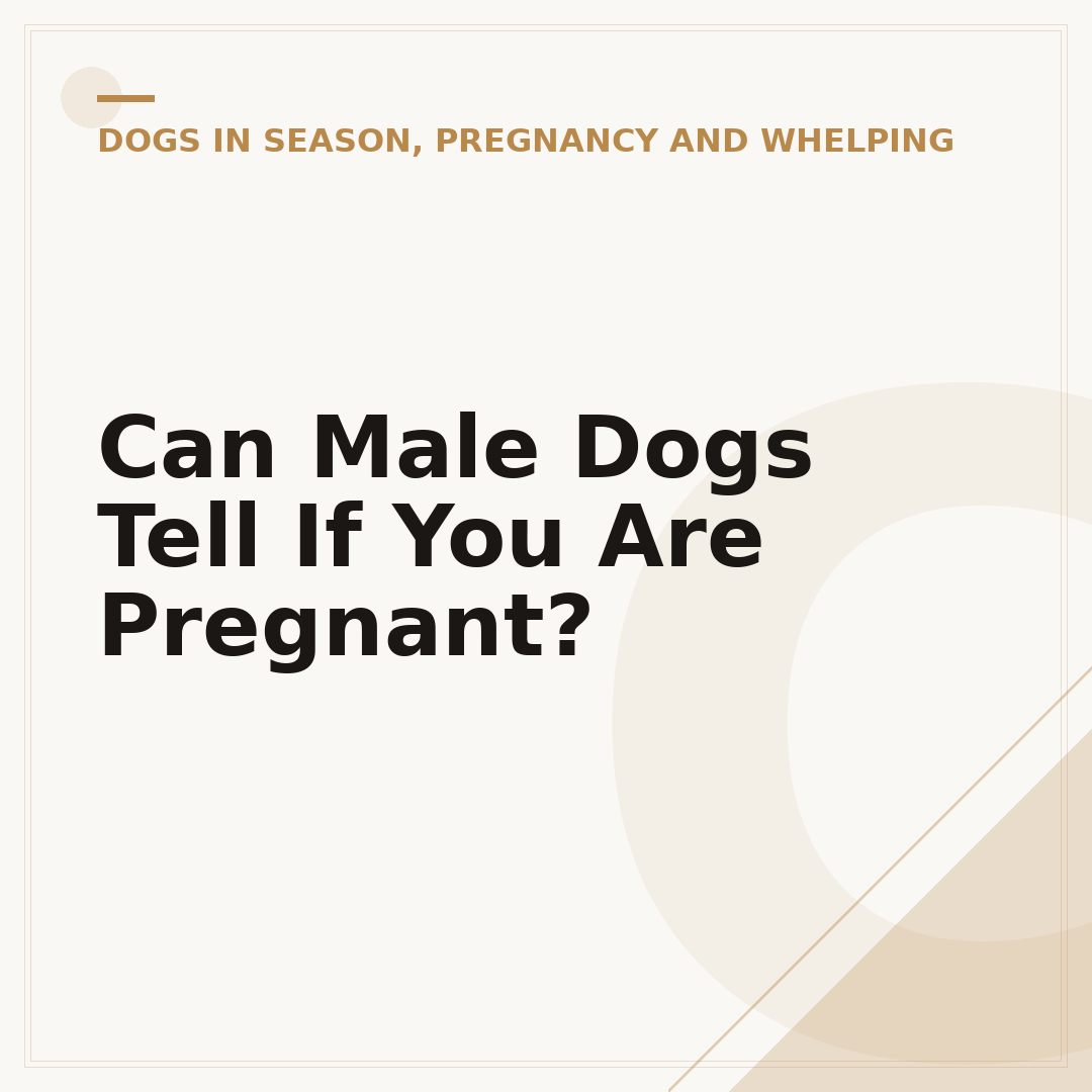 Can Male Dogs Tell If You Are Pregnant?