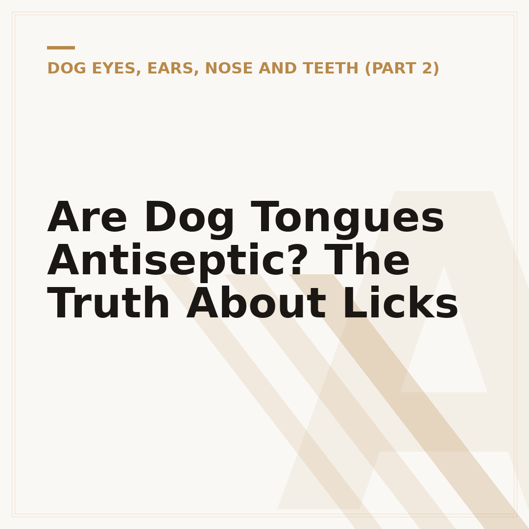 Are Dog Tongues Antiseptic? The Truth About Licks