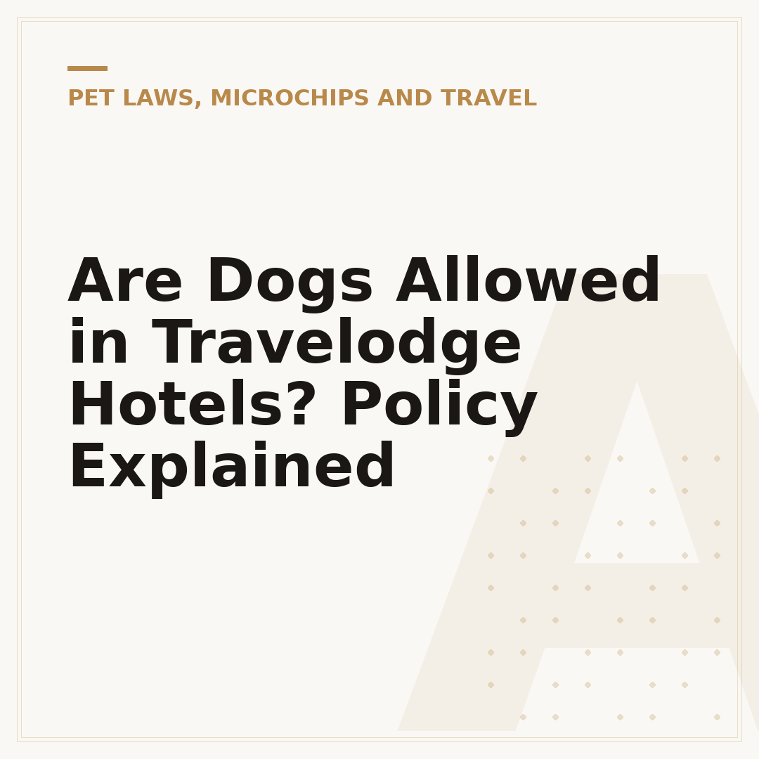 Are Dogs Allowed in Travelodge Hotels? Policy Explained