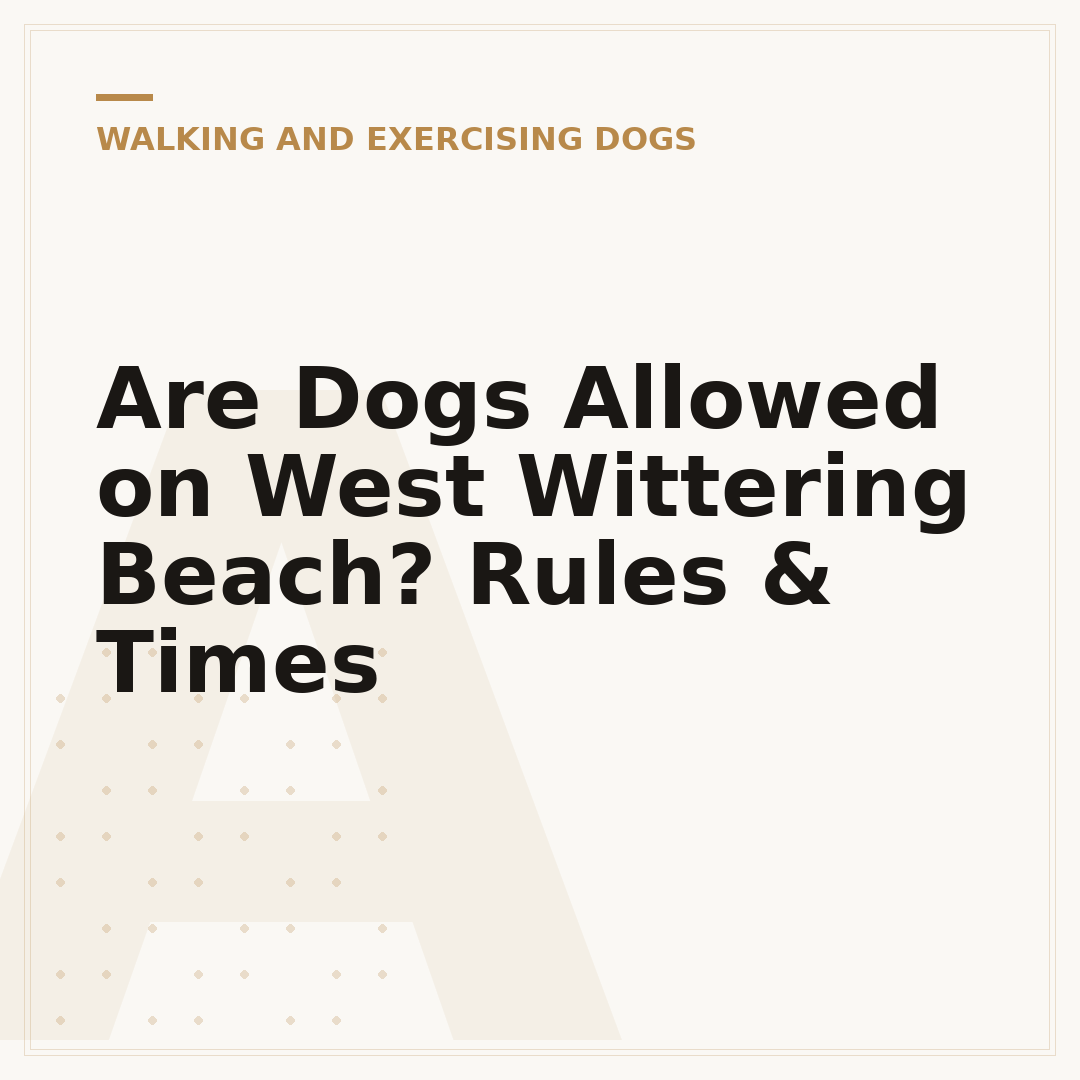 Are Dogs Allowed on West Wittering Beach? Rules & Times
