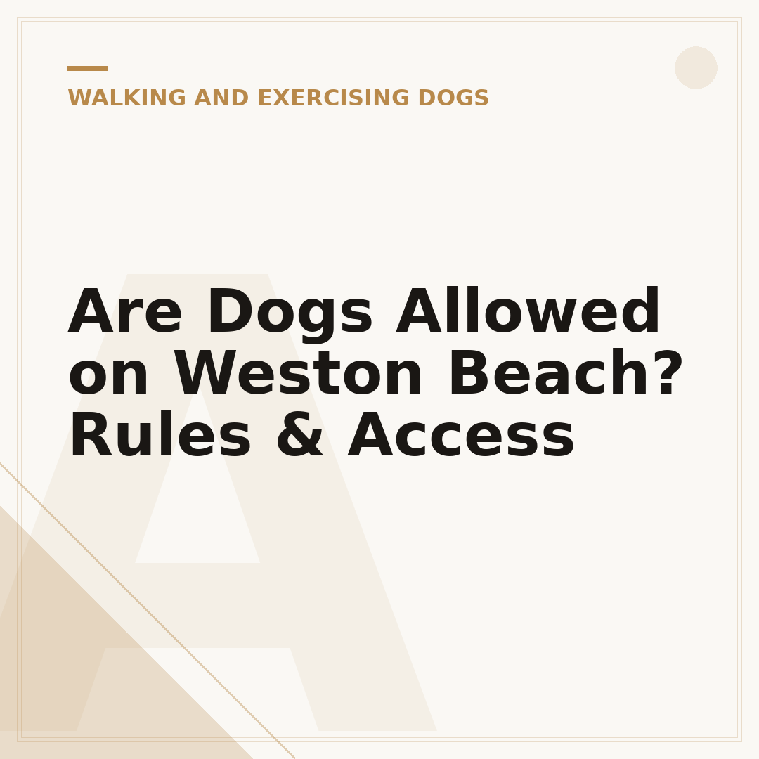 Are Dogs Allowed on Weston Beach? Rules & Access