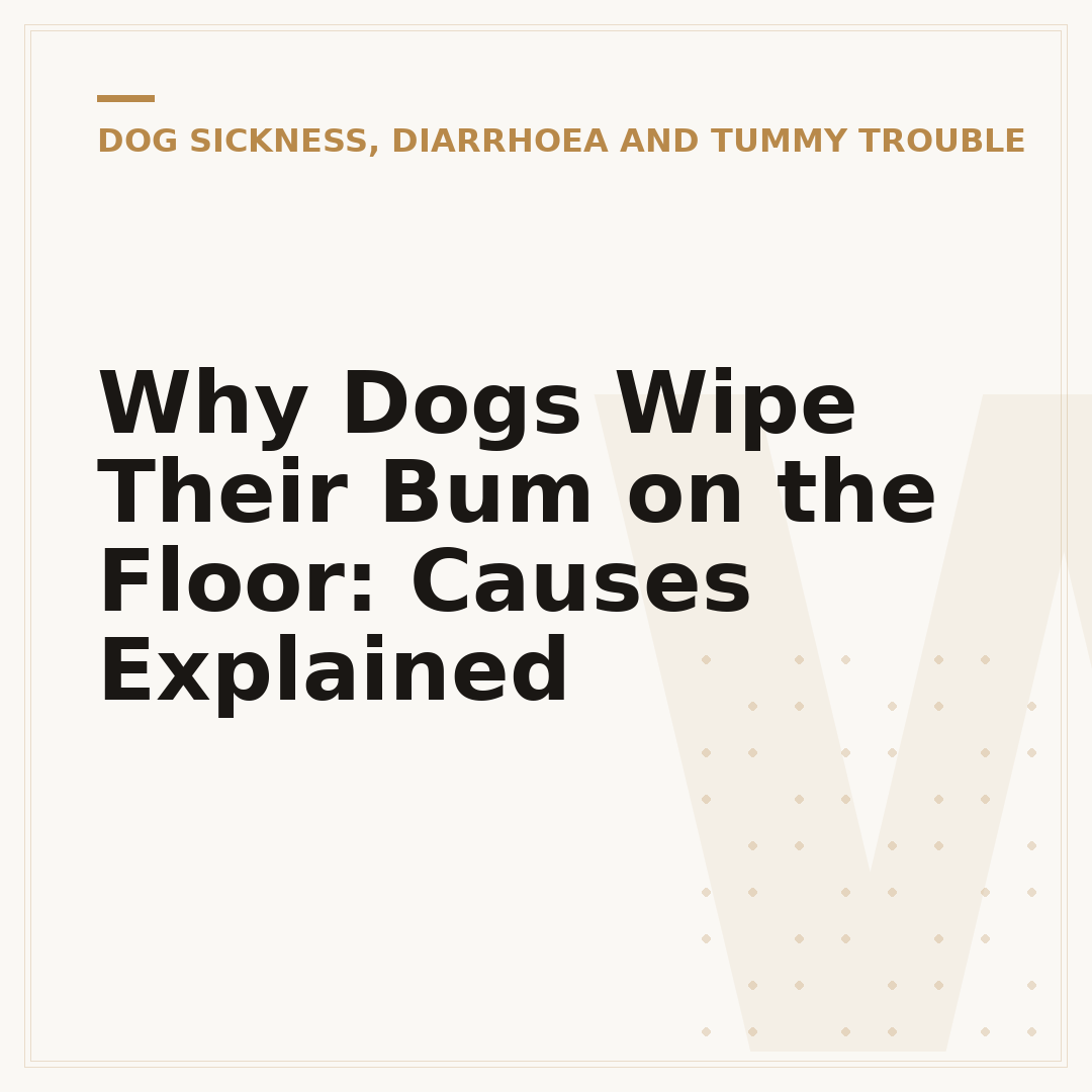Why Dogs Wipe Their Bum on the Floor: Causes Explained