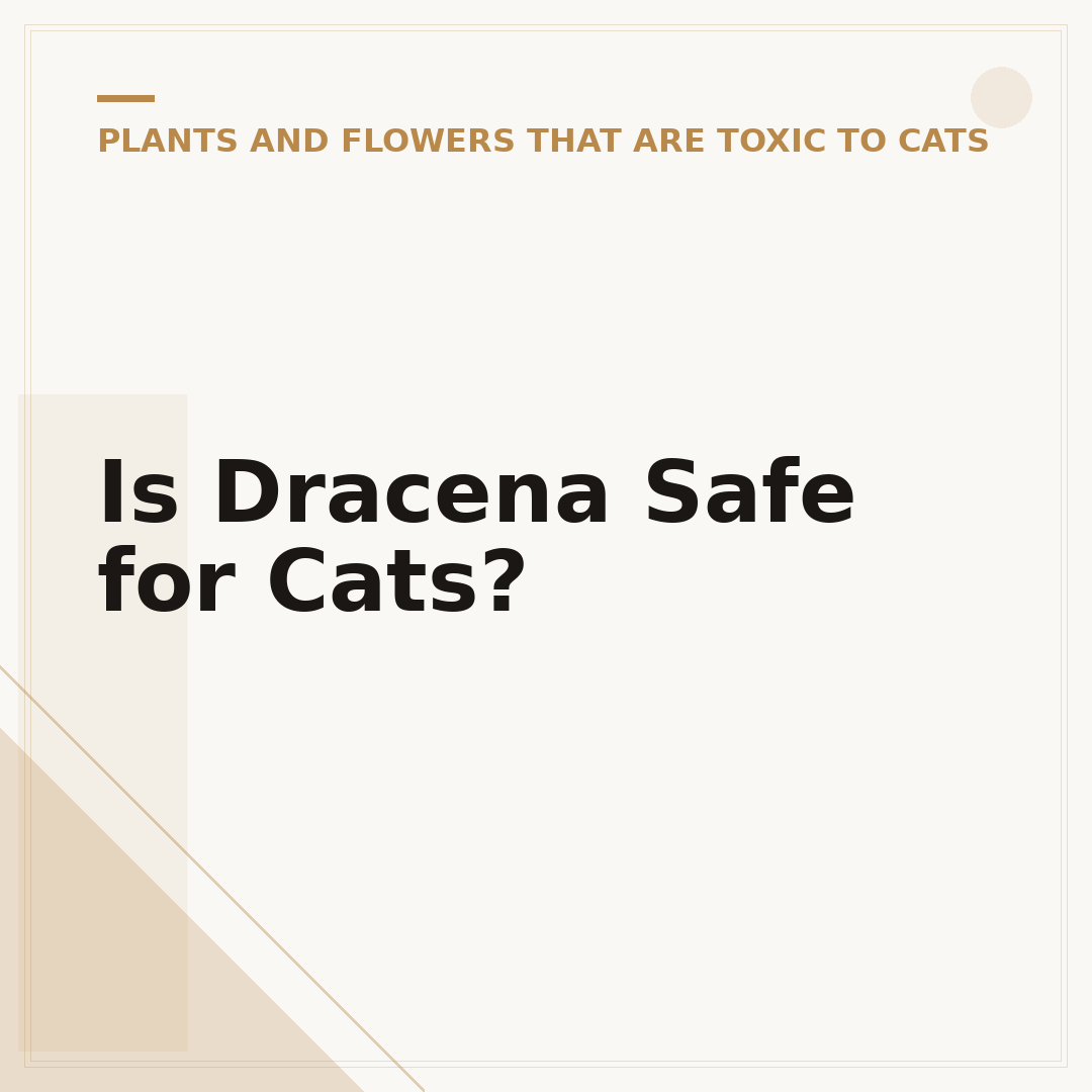 Is Dracena Safe for Cats?