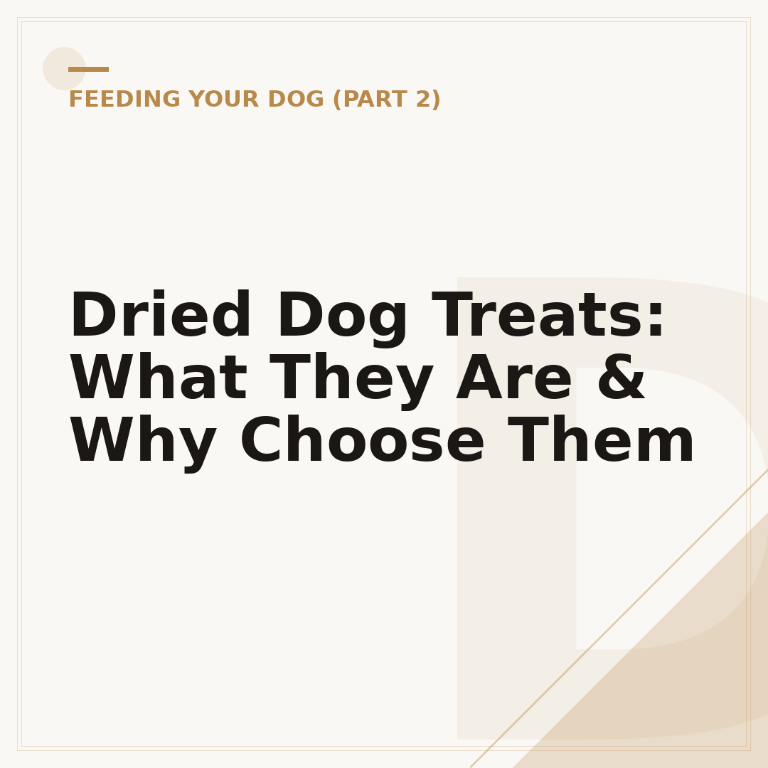 Dried Dog Treats: What They Are & Why Choose Them
