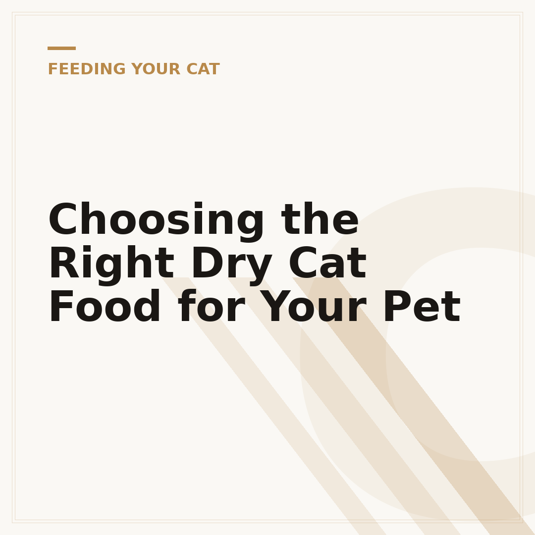 Choosing the Right Dry Cat Food for Your Pet