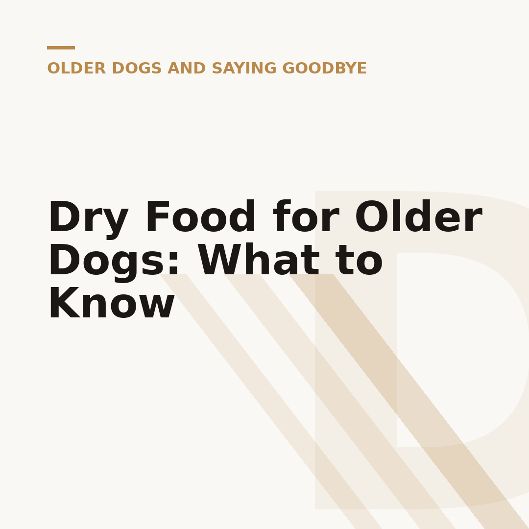 Dry Food for Older Dogs: What to Know