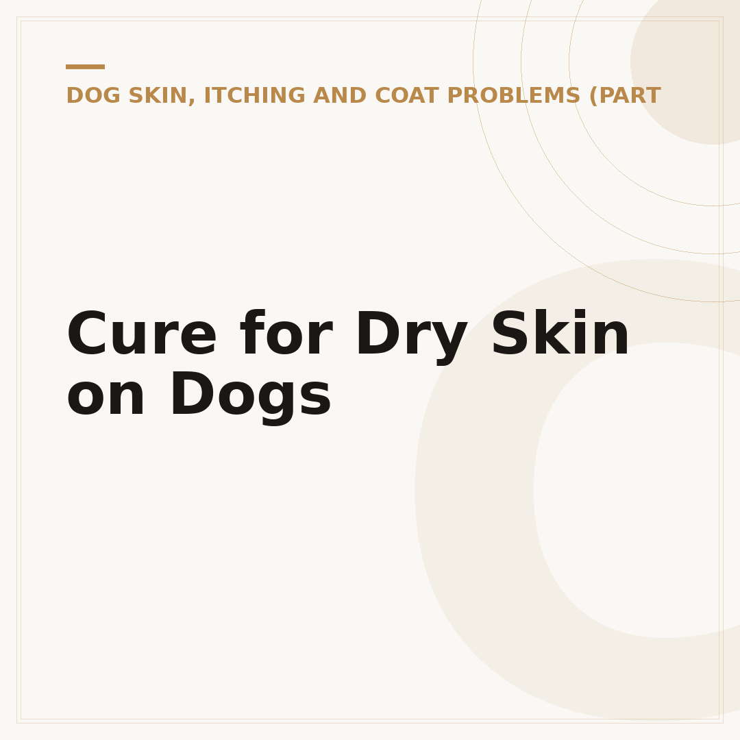Cure for Dry Skin on Dogs