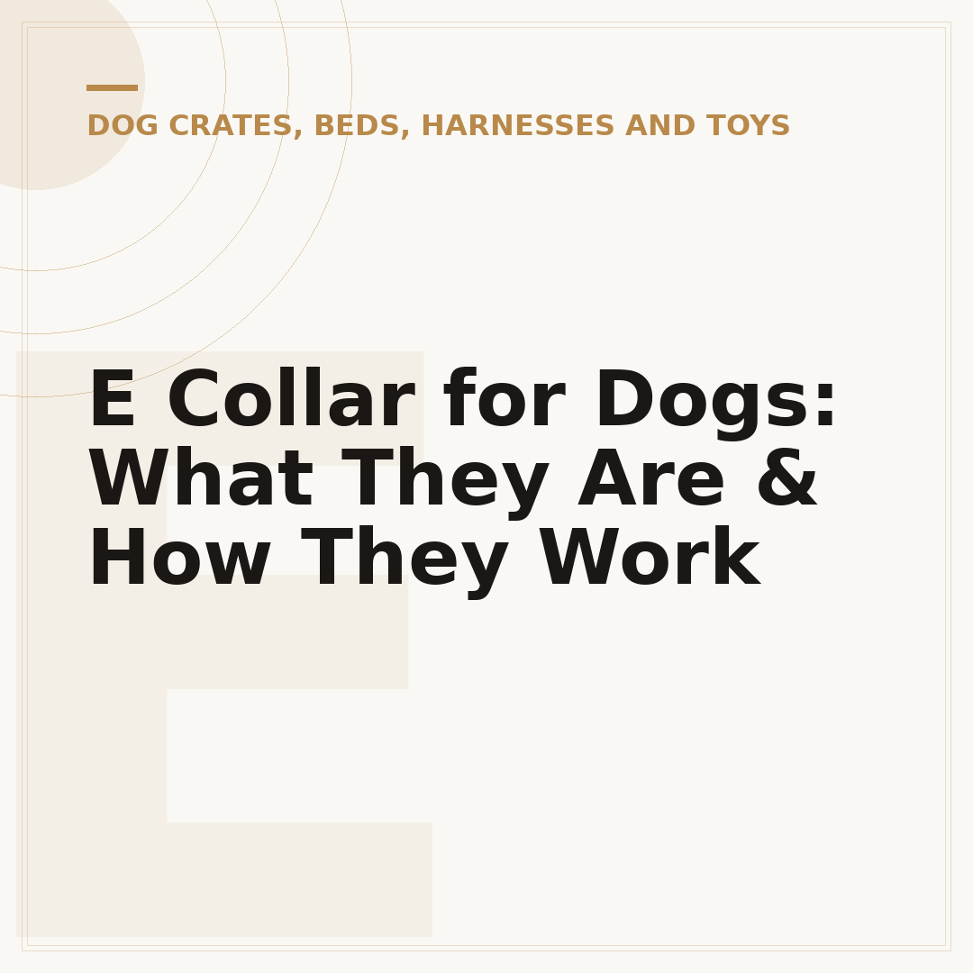 E Collar for Dogs: What They Are & How They Work