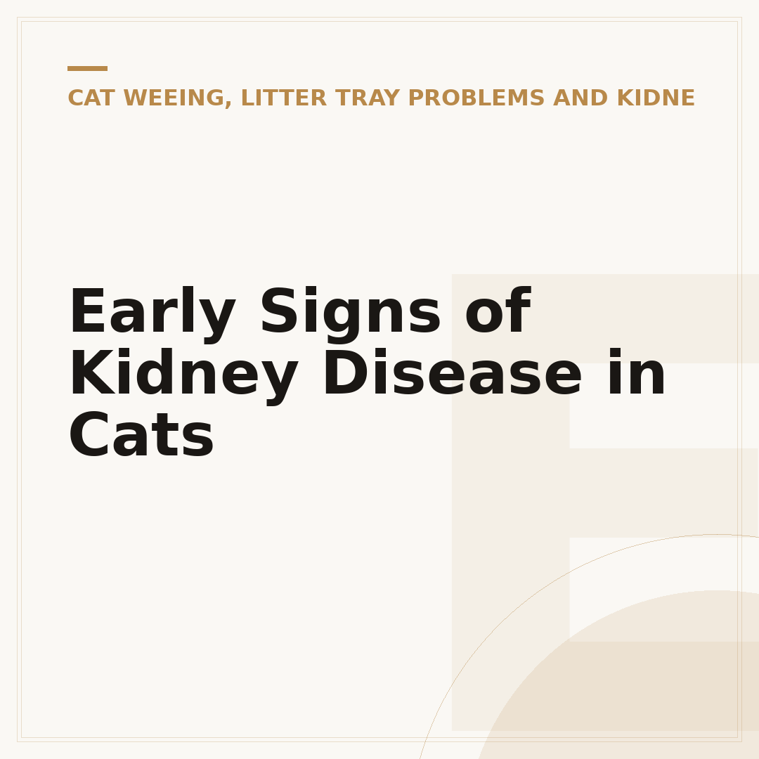 Early Signs of Kidney Disease in Cats