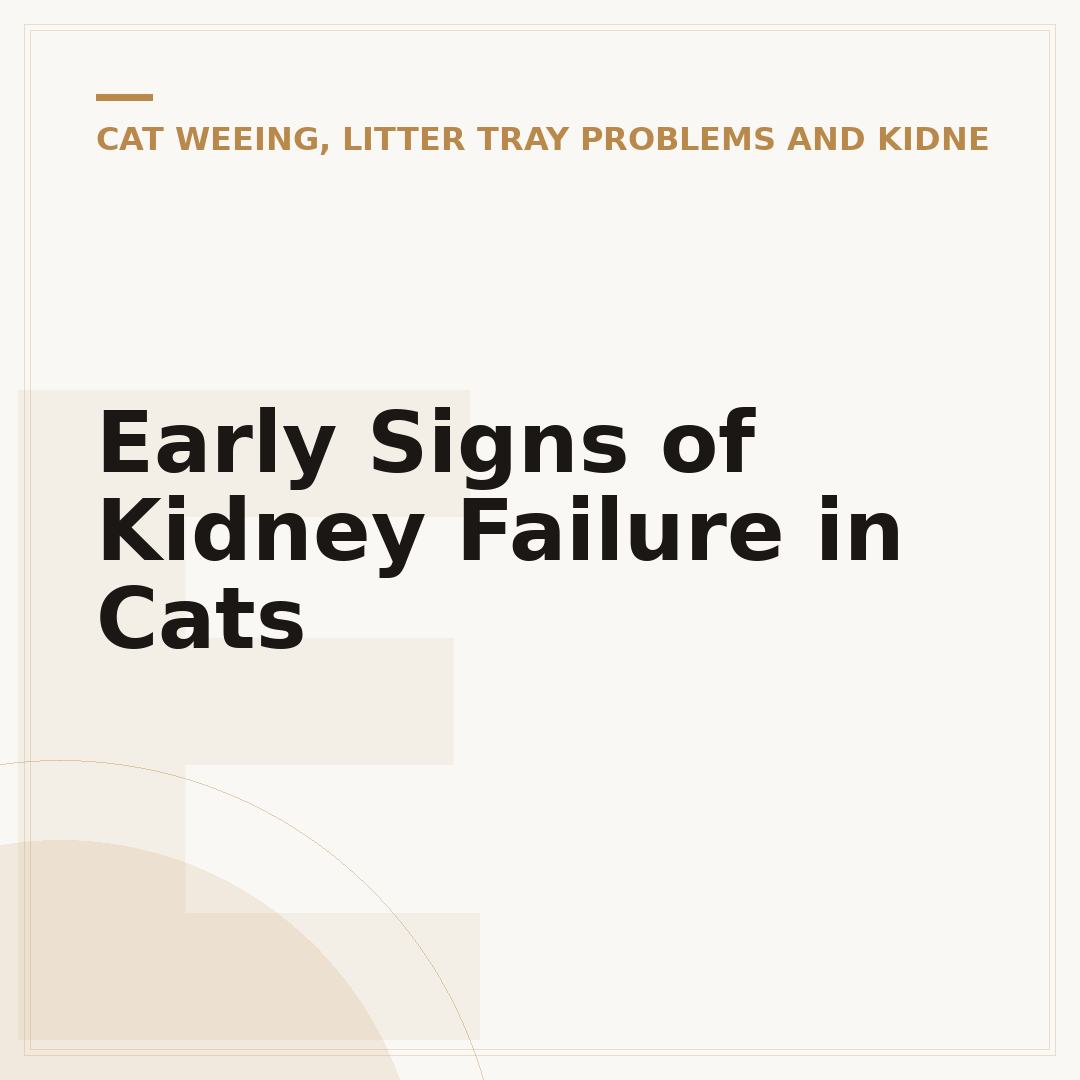 Early Signs of Kidney Failure in Cats