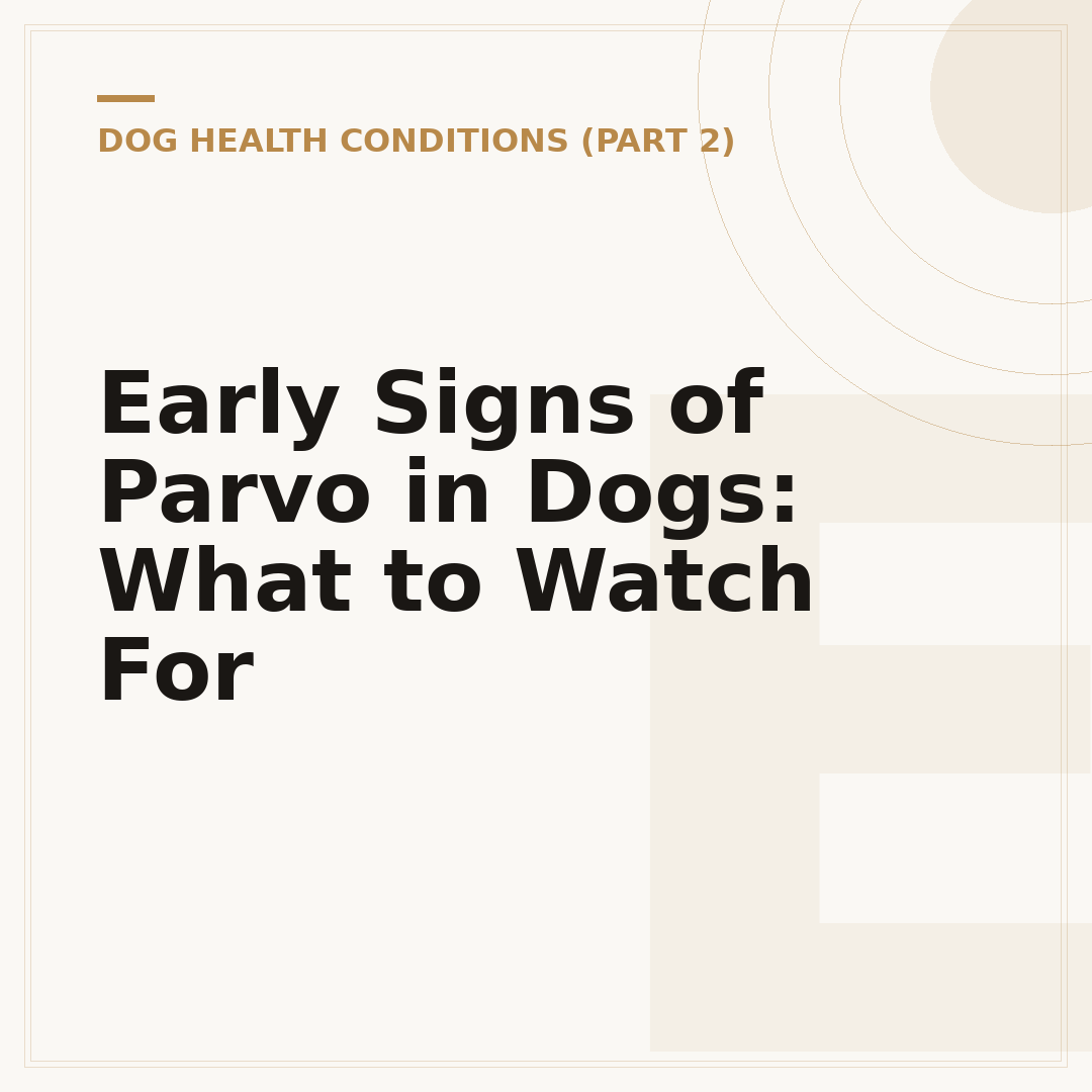 Early Signs of Parvo in Dogs: What to Watch For
