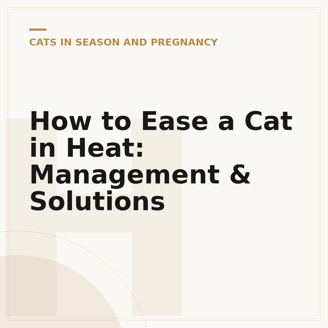 How to Ease a Cat in Heat: Management & Solutions