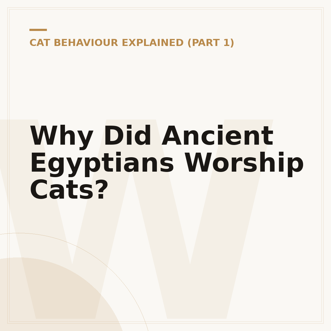 Why Did Ancient Egyptians Worship Cats?
