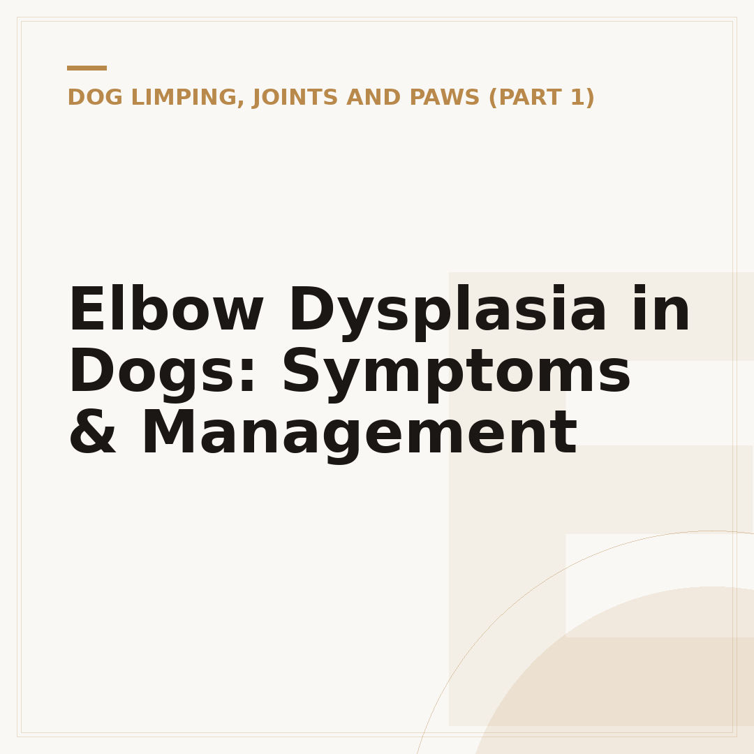 Elbow Dysplasia in Dogs: Symptoms & Management