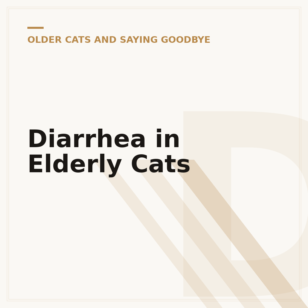 Diarrhea in Elderly Cats