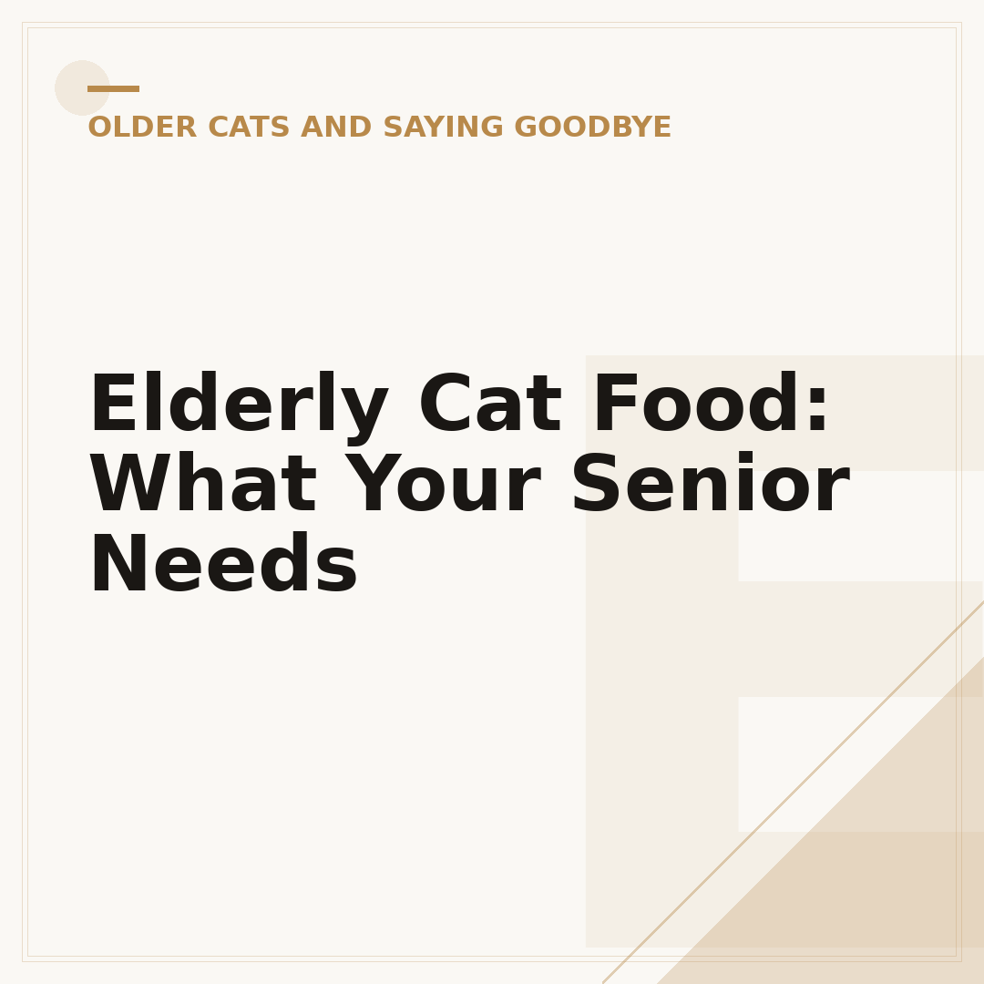 Elderly Cat Food: What Your Senior Needs