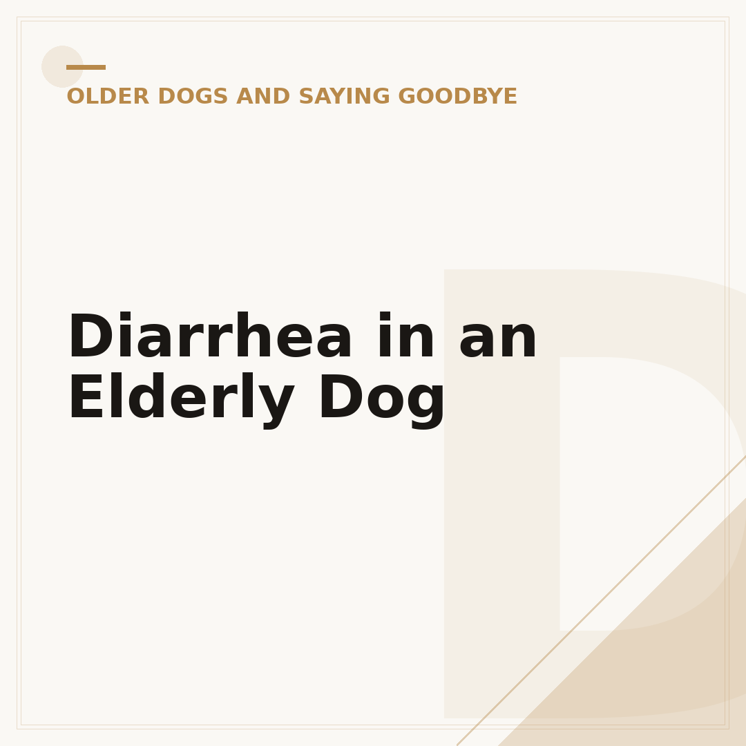 Diarrhea in an Elderly Dog