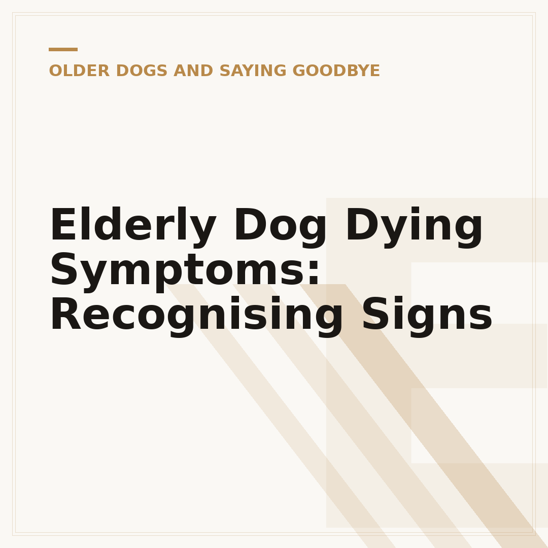 Elderly Dog Dying Symptoms: Recognising Signs