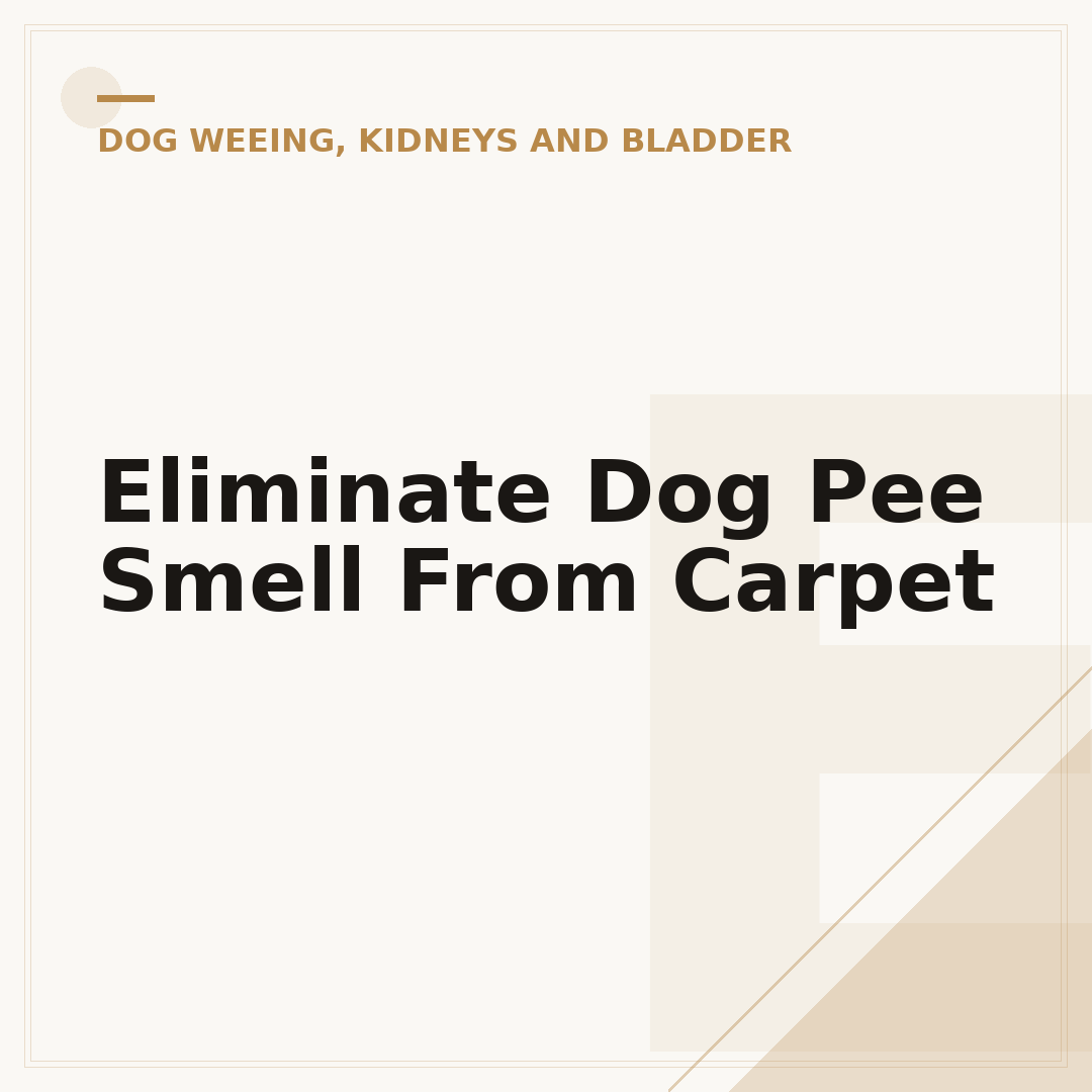 Eliminate Dog Pee Smell From Carpet