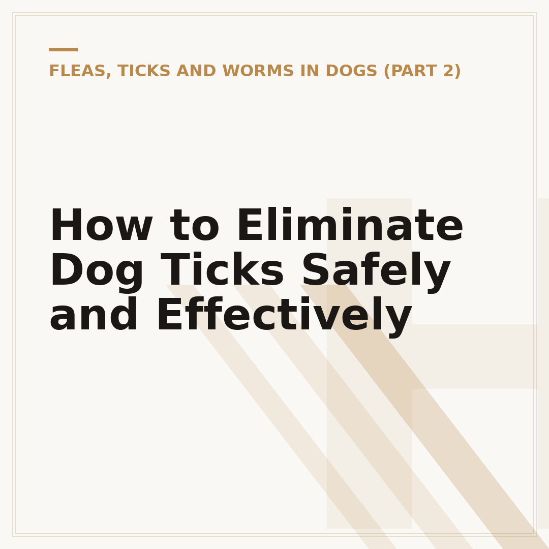 How to Eliminate Dog Ticks Safely and Effectively