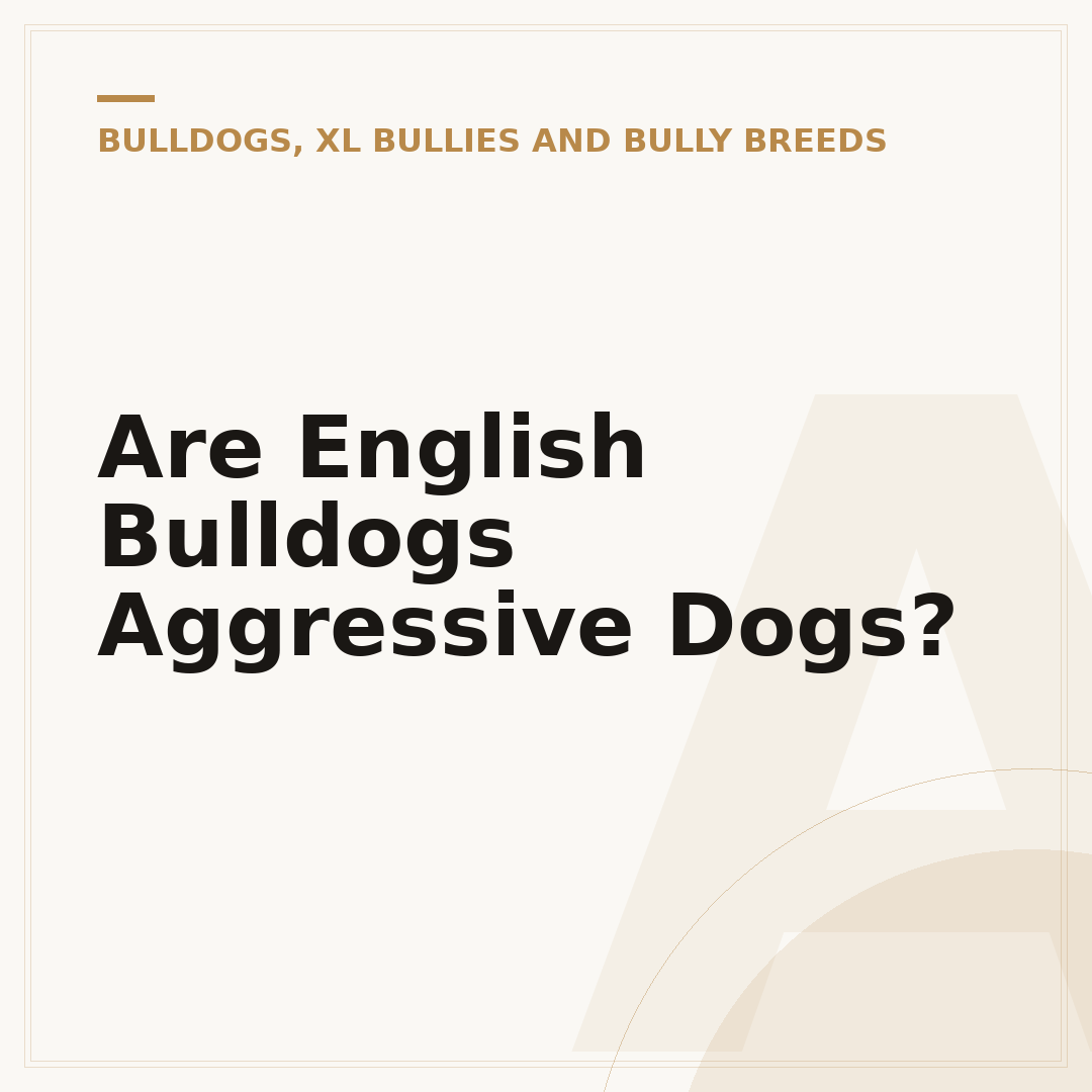 Are English Bulldogs Aggressive Dogs?