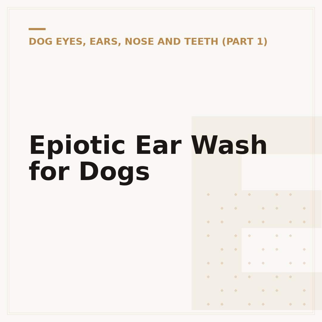 Epiotic Ear Wash for Dogs