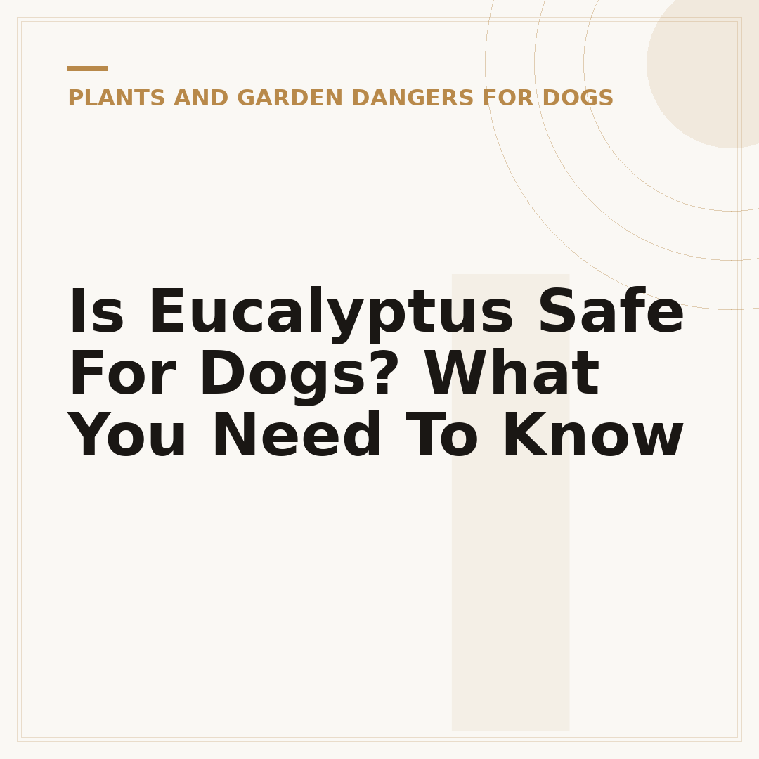 Is Eucalyptus Safe For Dogs? What You Need To Know