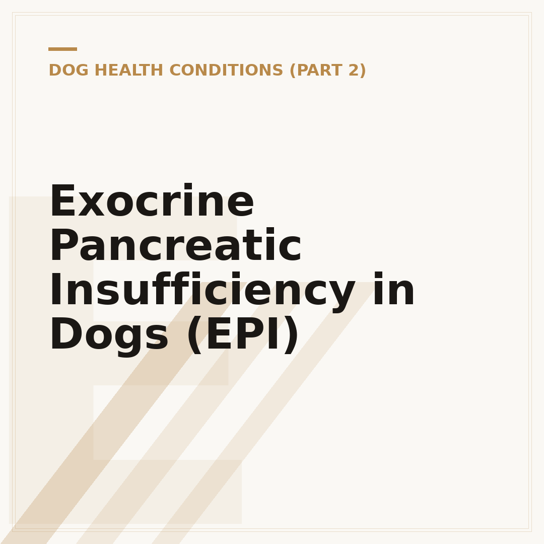 Exocrine Pancreatic Insufficiency in Dogs (EPI)