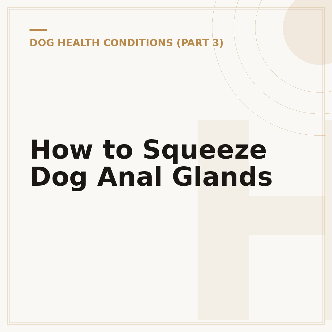 How to Squeeze Dog Anal Glands