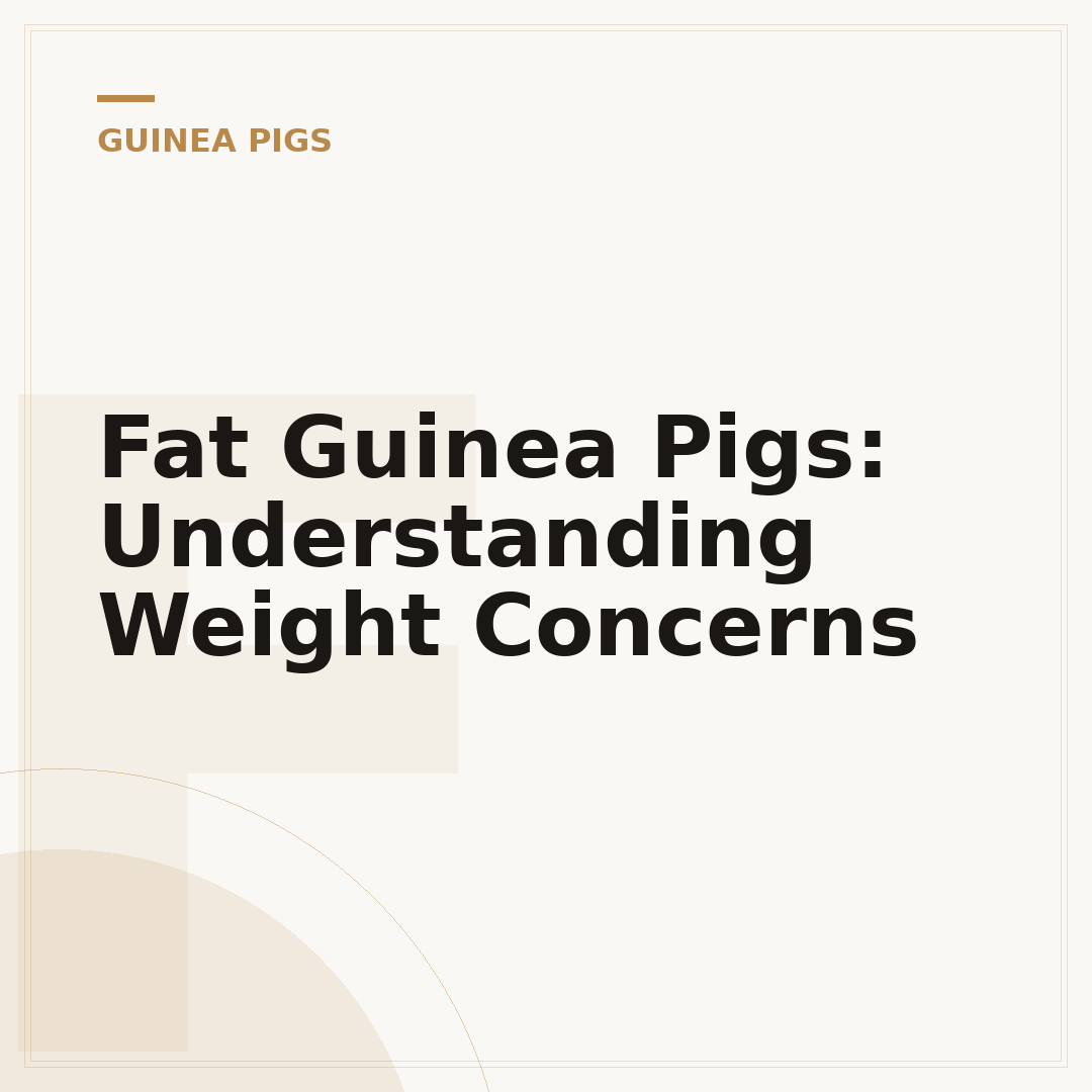 Fat Guinea Pigs: Understanding Weight Concerns