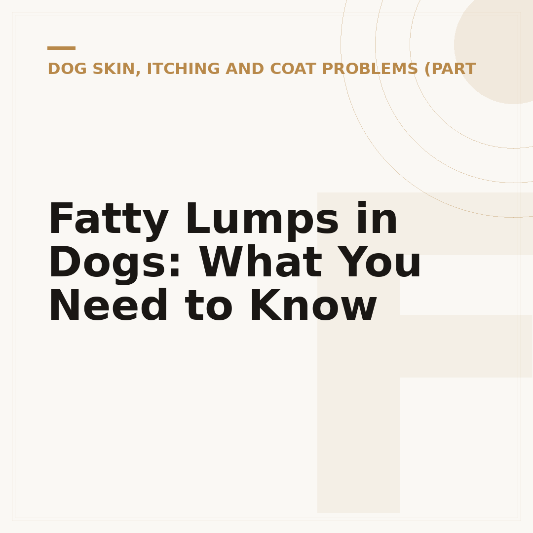 Fatty Lumps in Dogs: What You Need to Know