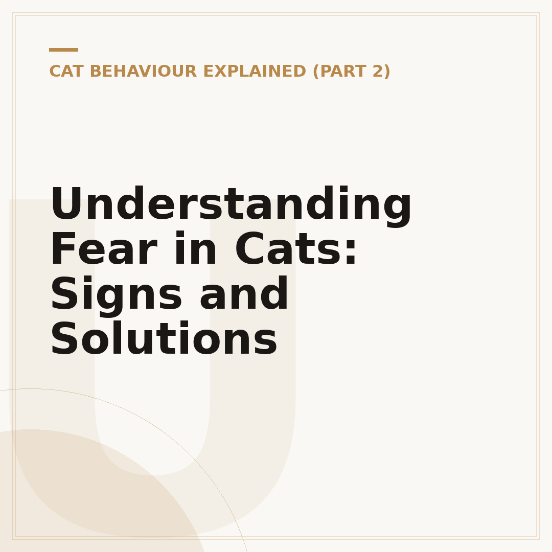Understanding Fear in Cats: Signs and Solutions