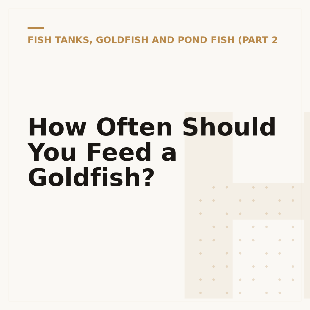 How Often Should You Feed a Goldfish?