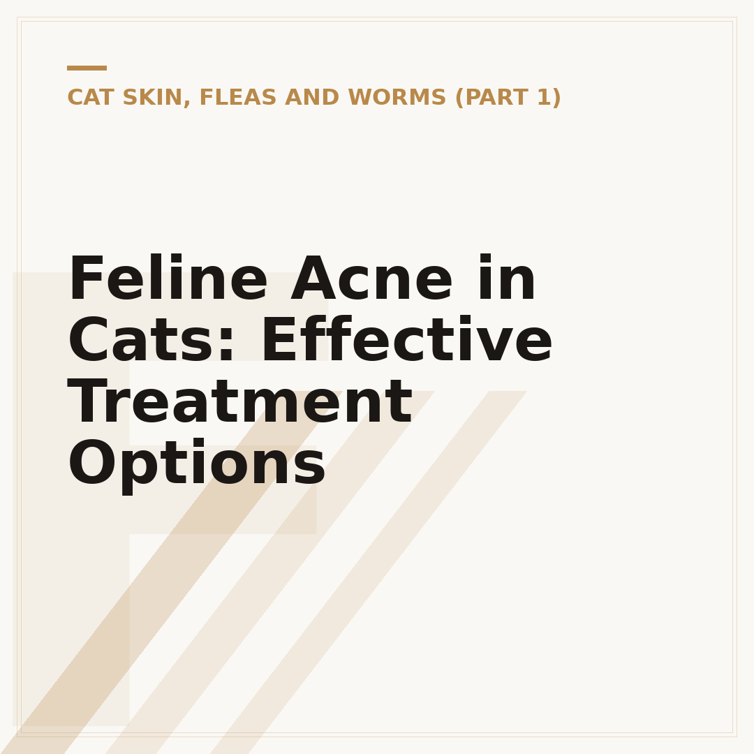 Feline Acne in Cats: Effective Treatment Options