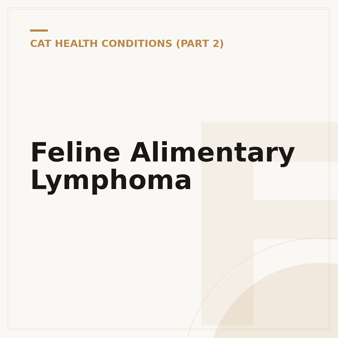 Feline Alimentary Lymphoma