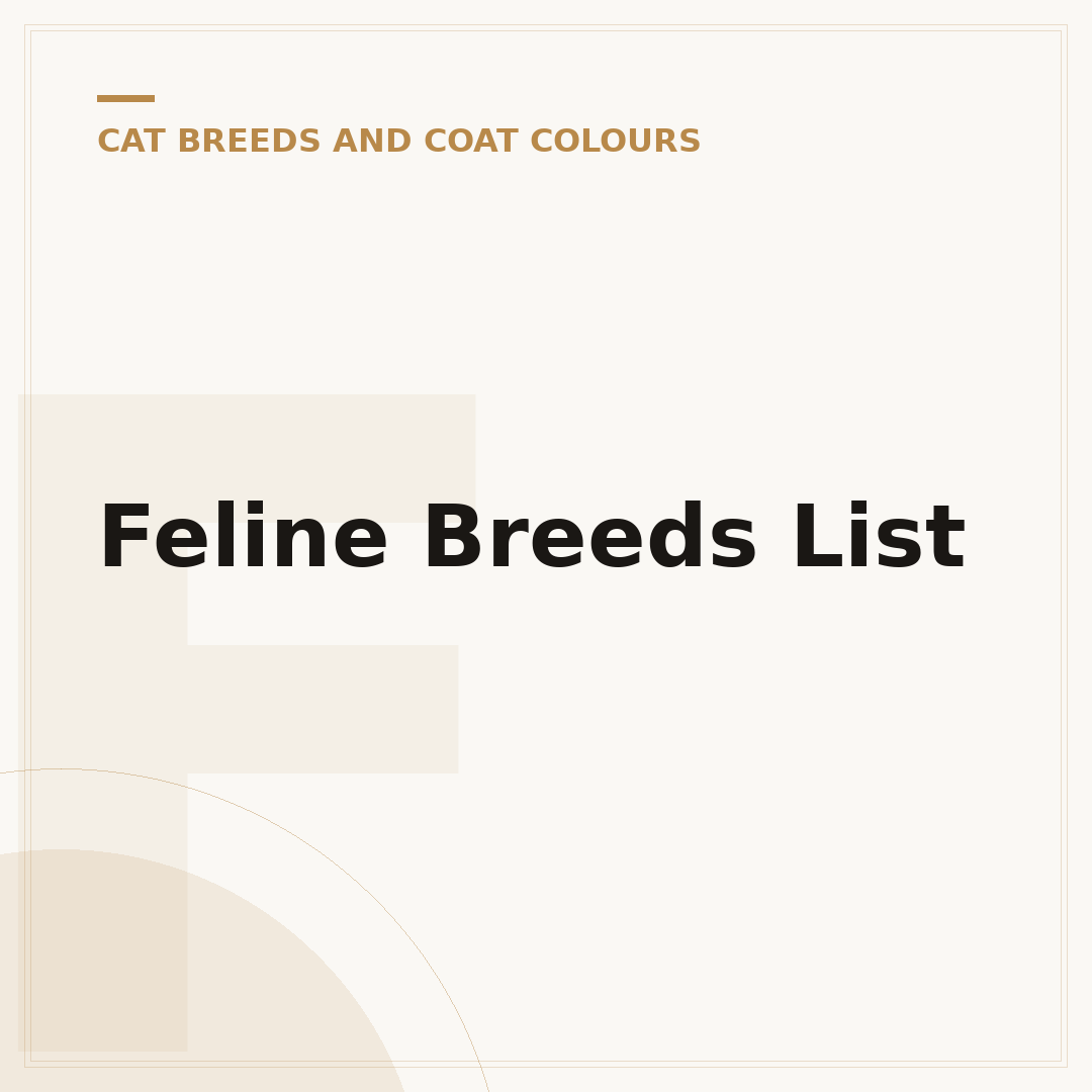 Feline Breeds List