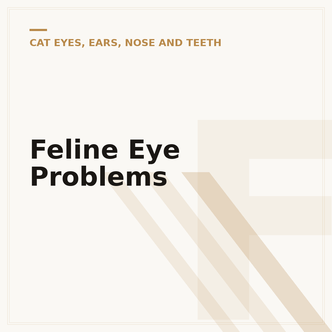 Feline Eye Problems