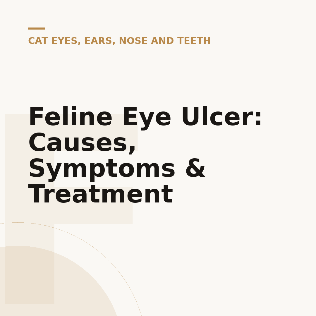 Feline Eye Ulcer: Causes, Symptoms & Treatment