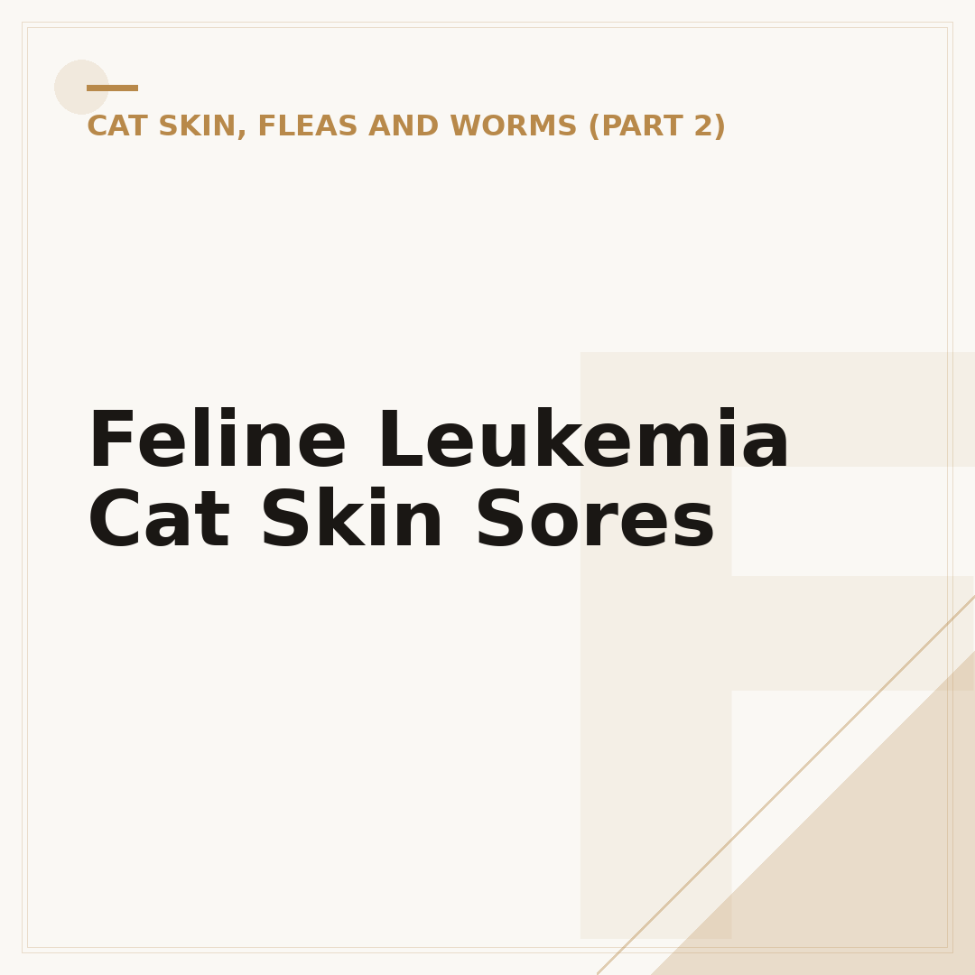 Feline Leukemia Cat Skin Sores