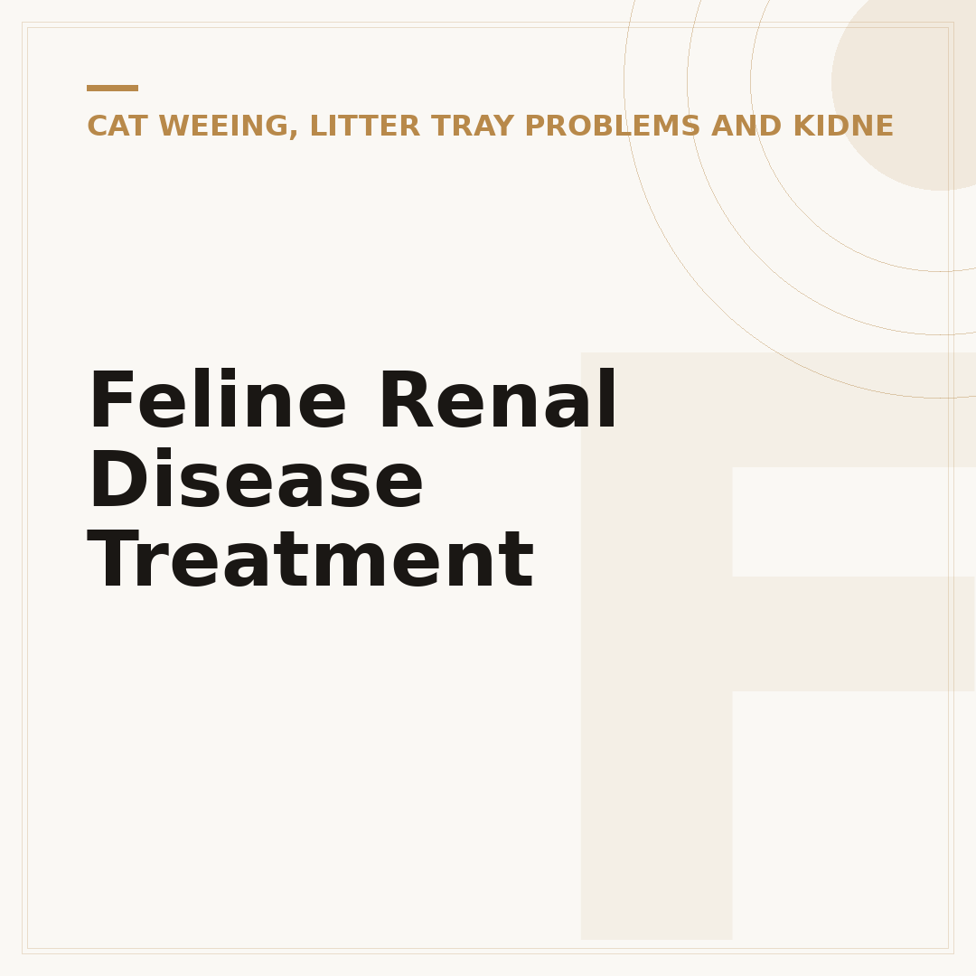 Feline Renal Disease Treatment