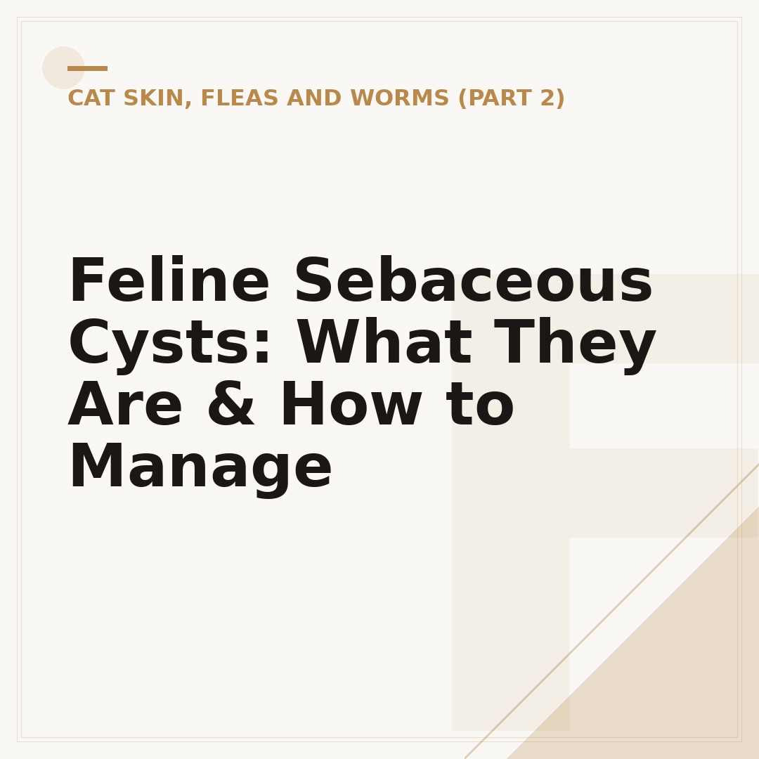 Feline Sebaceous Cysts: What They Are & How to Manage