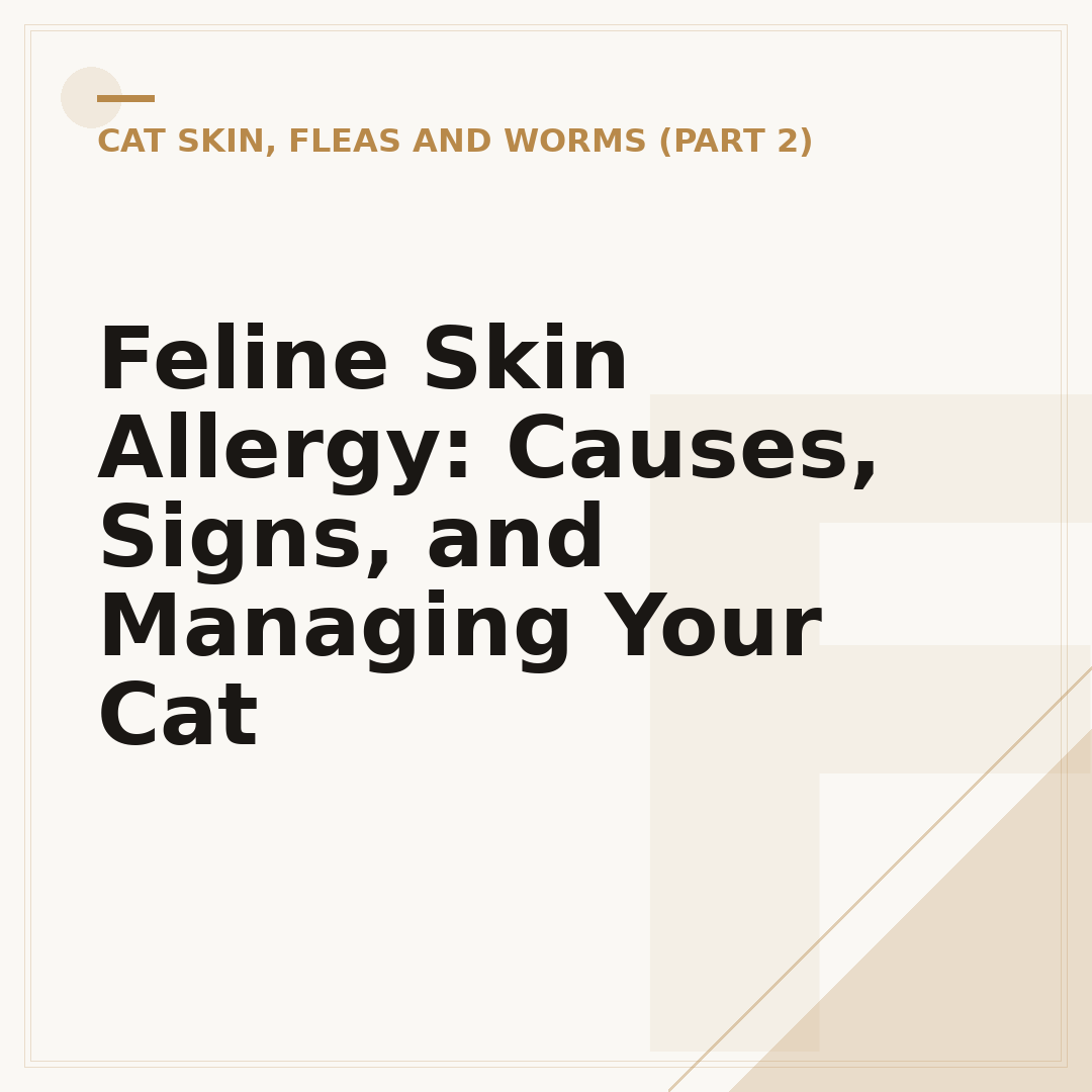 Feline Skin Allergy: Causes, Signs, and Managing Your Cat