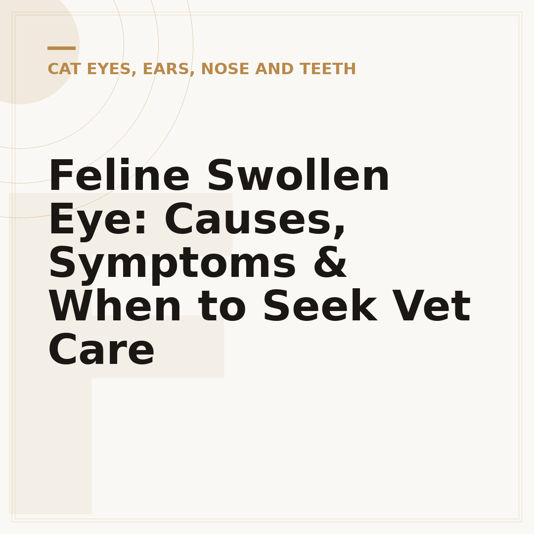 Feline Swollen Eye: Causes, Symptoms & When to Seek Vet Care