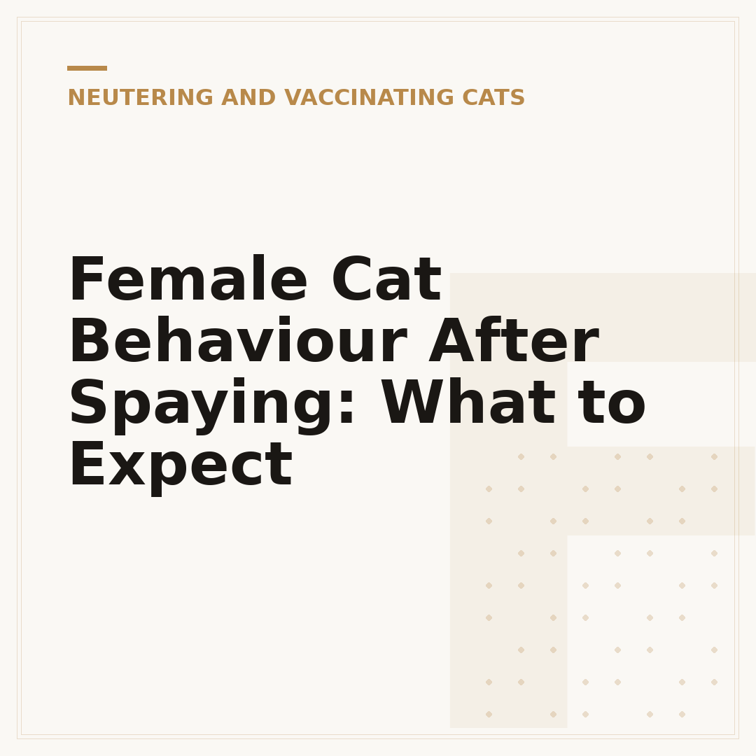 Female Cat Behaviour After Spaying: What to Expect