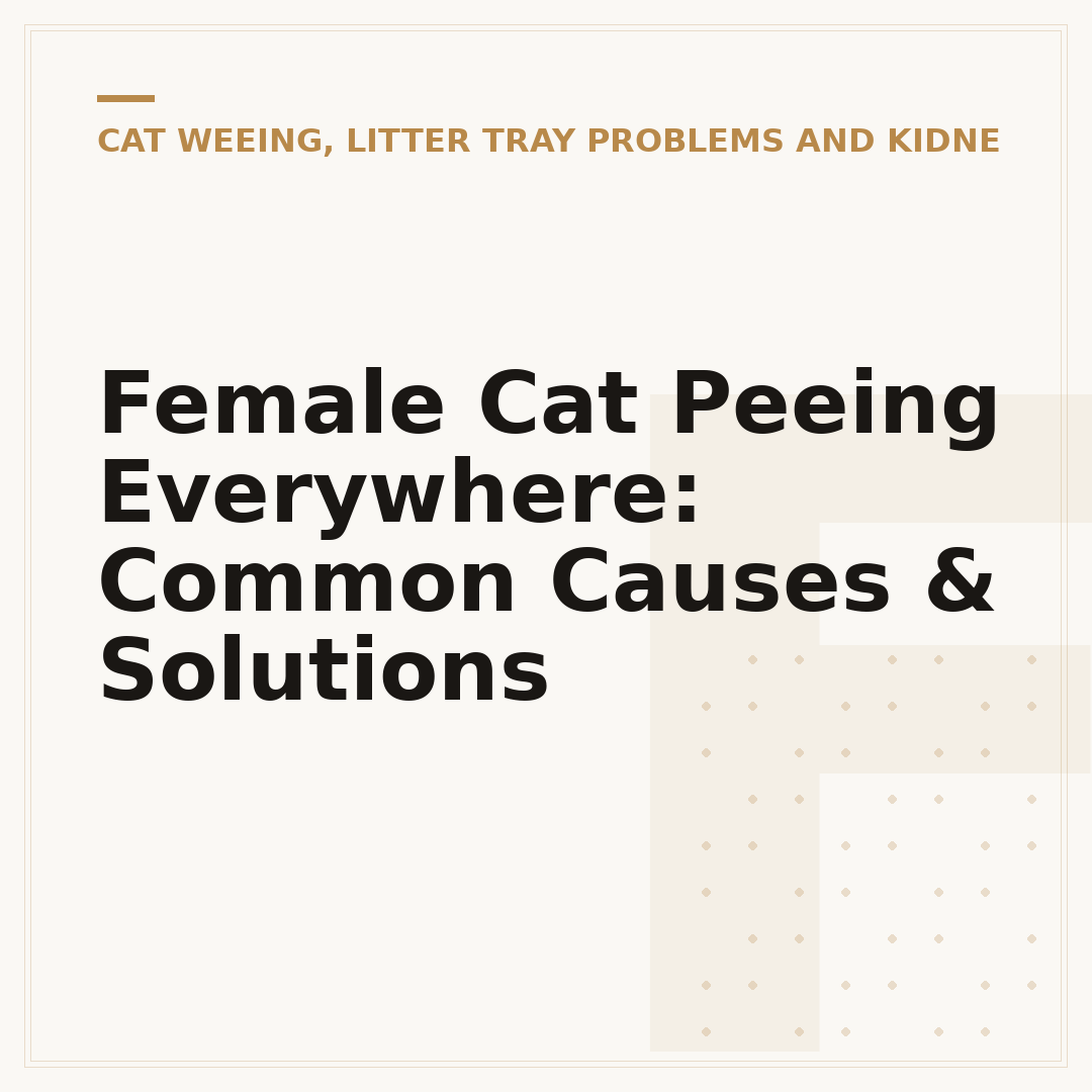 Female Cat Peeing Everywhere: Common Causes & Solutions