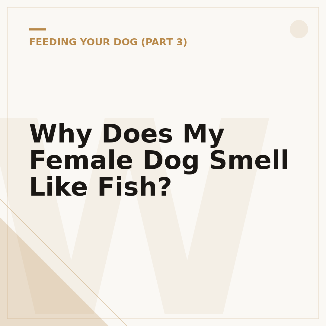 Why Does My Female Dog Smell Like Fish?
